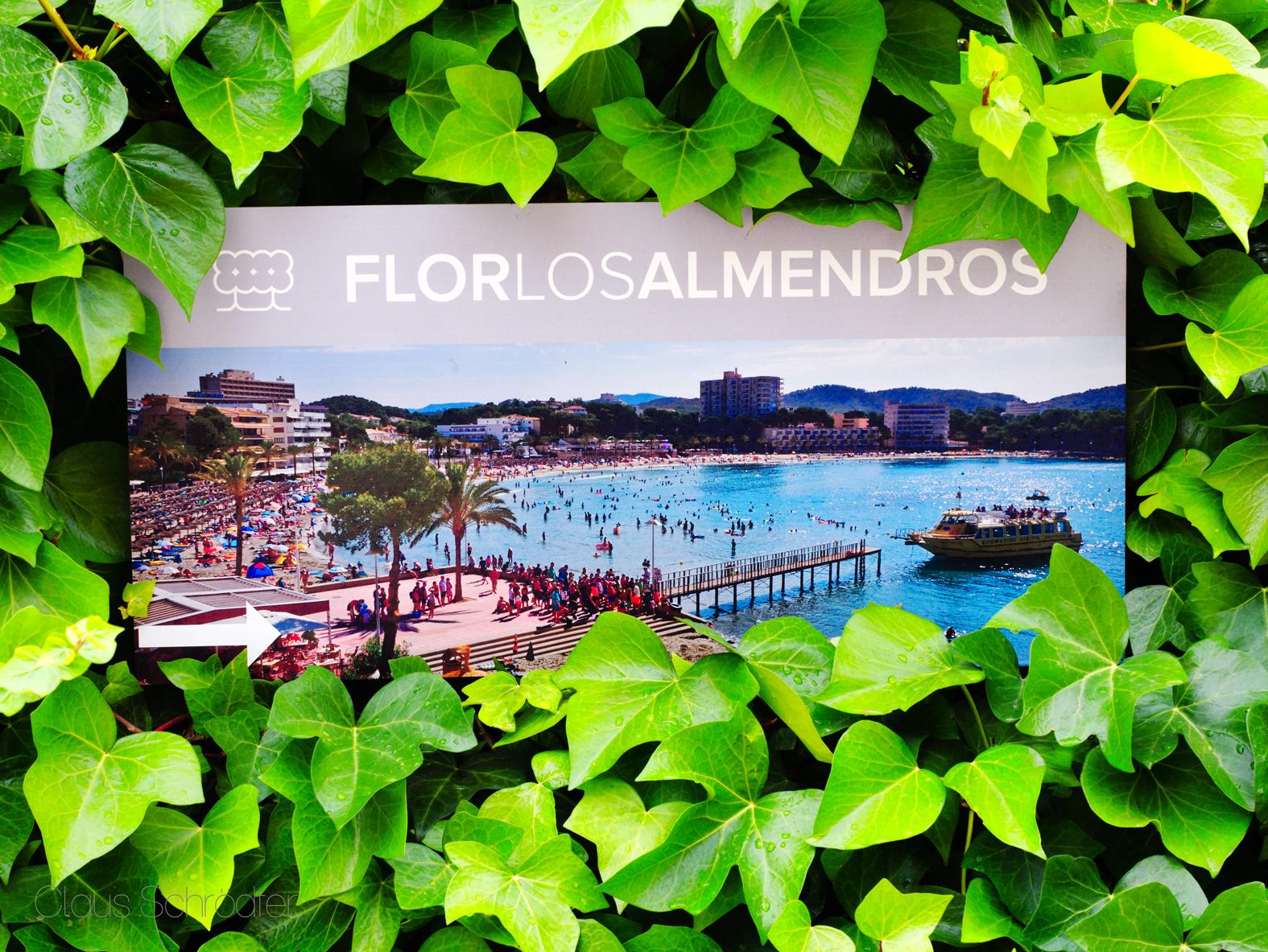Flor Los Almendros Hotel Peguera Esterno foto